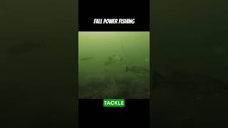 Fall Power Fishing [upl. by Cianca]