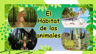 El hábitat de los animales Para niños [upl. by Maxey]