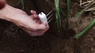 Soil Moisture Sensor Installation [upl. by Nylatsyrc679]