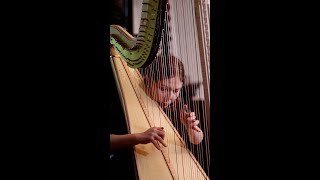 Amelia Tokarska harpist plays Astor Piazzolla – „Verano Porteño” 33 shorts [upl. by Ciccia585]