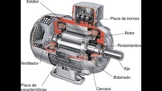 PARTES DE UN MOTOR ELECTRICO [upl. by Earized]