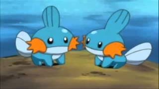 Mudkip the Mud Fish Pokemon [upl. by Eey]