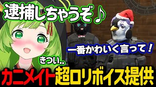 カニメイトのために超ロリボイスを録音するも、恥ずかしすぎて死亡するひのらん【日ノ隈らん ストグラ 切り抜き】 [upl. by Oliana]