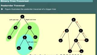 Binary Tree Traversal Preorder Inorder Postorder in Data Structures [upl. by Cranston459]