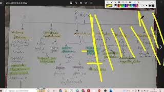 UE1 Sémiologie CardioVasculaire 2 بالعربية Etude De La Courbe Thermique [upl. by Etteyafal724]