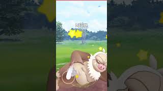 Slaking Destroy Grunt Badly in pokemongo [upl. by Odirfliw]