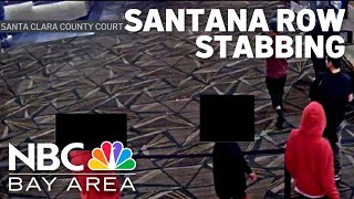 New details revealed about Santana Row fatal stabbing [upl. by Nnazil672]