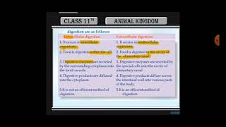 Difference between intracellular and extracellular digestion [upl. by Pickard17]