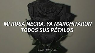 Mi Rosa Negra Letra  Porta [upl. by Kohler297]