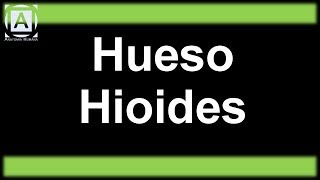 Hueso Hioides [upl. by Grantley]