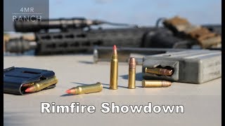 17 HMR vs 22 LR  Rimfire Showdown [upl. by Burch]