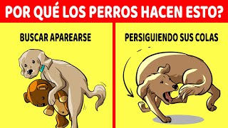 Explicación De Los 15 Comportamientos Más Extraños De Los Perros [upl. by Noivart]