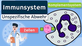 Unspezifische Immunabwehr Zellen Komplementsystem  Immunsystem einfach erklärt [upl. by Arytas]