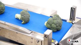 Trayless packaging of a wide range of vegetables in a flow pack machine HFFS [upl. by Zzabahs317]