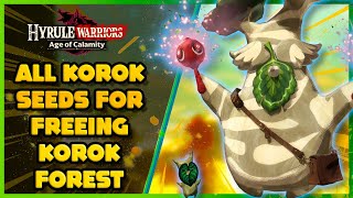 ALL KOROK SEEDS for Freeing Korok Forest Hyrule Warriors Age Of Calamity [upl. by Labotsirc]