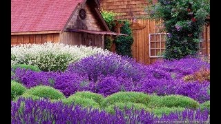 What are the differences in LavenderGarden Style nw [upl. by Nola]