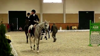 Potęga skoku w damskim siodle  Sidesaddle jump in Janow Podlaski [upl. by Kenweigh]