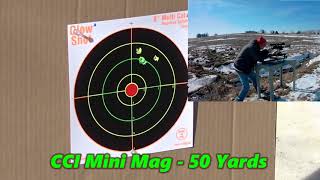 Henry CCI Mini Mag vs CCI Std Velocity 50 Yards [upl. by Zarihs]