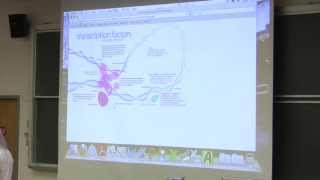 18 Biochemistry Lecture Transcription II from Kevin Aherns BB 350 Broadband [upl. by Weissberg414]