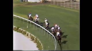 1981 Victorian Steeplechase [upl. by Coulombe]