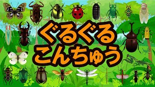 【昆虫の名前】子供がよろこぶ昆虫アニメぐるぐる回って楽しく覚える★かぶとむし・くわがた・せみ・だんごむし・たまむし・ばった・とんぼ・たがめ・かなぶん・てんとうむし★赤ちゃん向けの教育コンテンツ [upl. by Oigaib]