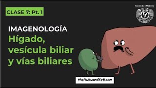 071  Imagenología del hígado vesícula biliar y vías biliares [upl. by Ynahirb8]