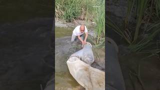 Big Water Pump Mounted In Tractor 😮shortsfeed shortsviral shortvideo waterpump watersupply [upl. by Ynnub995]