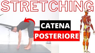 Ginnastica posturale esercizi di STRETCHING della MUSCOLATURA POSTERIORE [upl. by Ednargel]