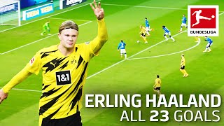 Erling Haaland – 23 Goals In Only 22 Bundesliga Games [upl. by Lobel877]