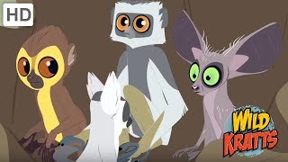 Aventuras com os Kratts  Apresentando Belos Animais 2  Vídeos de Crianças [upl. by Analart145]