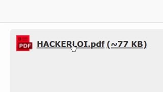 HACKERLOIpdf [upl. by Abisha729]