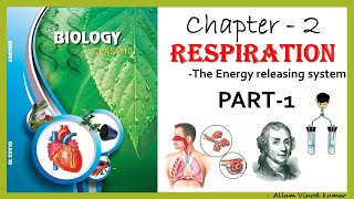 Respiration  The Energy Releasing System 10th Biology Part1 [upl. by Black]