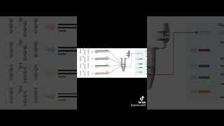 PCR Multiplex [upl. by Acirrehs842]