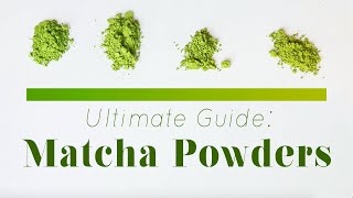 The Best Affordable Matcha Powders  Matcha 101 [upl. by Aimit503]