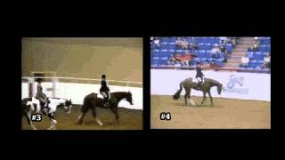 PRACTICE JUDGING HUNTER UNDER SADDLE [upl. by Vanhomrigh]