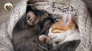 528 Hz Deep Healing Music for Stressed and Anxious Cats with cat purring sounds [upl. by Anaz]