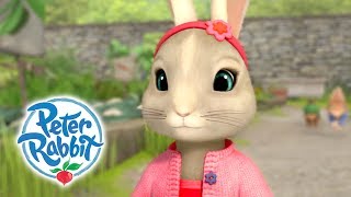 Peter Rabbit  Being Helpful with Lily 🐰  Practical Pocket  30 Mins Compilation  Kids Cartoons [upl. by Arleta]