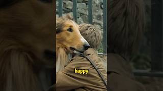 2 Escapes The Dogs Road To Bravery movieshorts [upl. by Murielle]