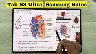 Note Taking on Samsung Tab S8 Ultra Using Samsung Notes  Top 24 Tips and Tricks [upl. by Navannod]