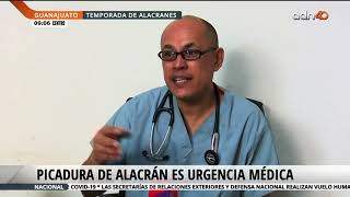 Picadura de alacranes es de urgencia médica [upl. by Candyce]