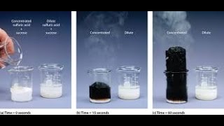 Reaction of metals with H2SO4sulphuric Acid [upl. by Kassab]