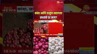 Onion amp Garlic Price Increased  कांदा आणि लसूण महागला आवाकडं घटल्याने किंमतीत वाढ सध्याचे दर काय [upl. by Ilak84]