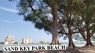 Sand Key Park  Clearwater Beach [upl. by Mikal67]