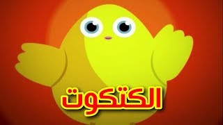 الكتكوت  طيور بيبي  Toyor Baby [upl. by Eerrehc839]