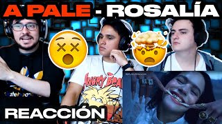 Reacción ROSALÍA  A Palé Official Video  ANYMAL LIVE 🔴 [upl. by Anel]