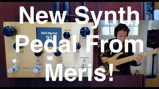 Meris Enzo X  MonoPolyphonic Synthesizer Pedal  Bass Demo [upl. by Mali]