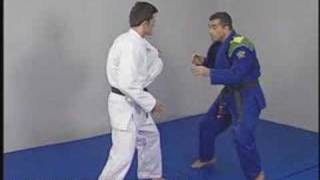 Mario Sperry Master Series 1 Brazilian JiuJitsu  Takedowns [upl. by Emmerie]