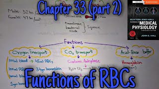 Functions of RBCs  Chapter 33 part 29 Guyton and Hall text book of physiology [upl. by Risan]