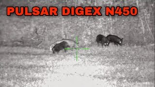 Pulsar Digex N450  Night Vision Scope Review [upl. by Llezo]