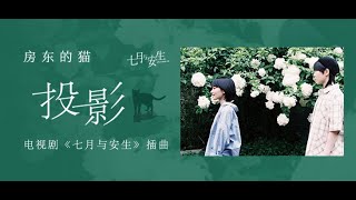 【电视剧《七月与安生》插曲】《投影》房东的猫 [upl. by Pickens75]